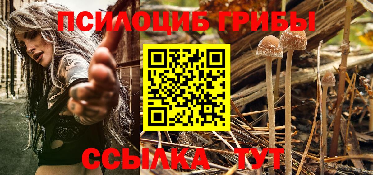Азов  Псилоцибиновые грибы ЛСД  что такое   Вход с VPN 
