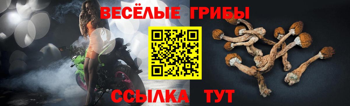 Псилоцибиновые грибы прущие грибы Азов